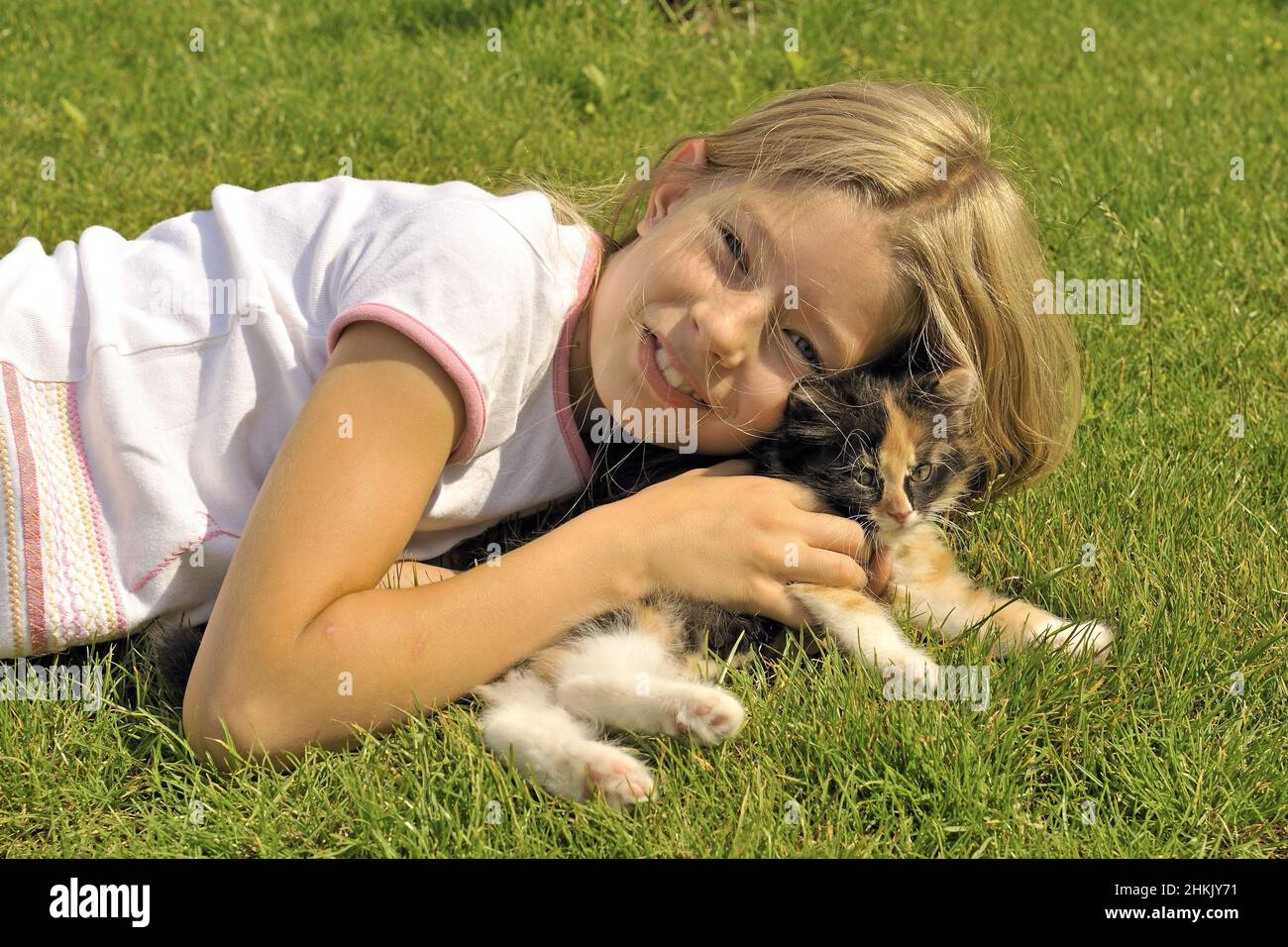 domestic cat, house cat (Felis silvestris f. catus), little blond girl lying happily with a kitten in a meadow Stock Photo