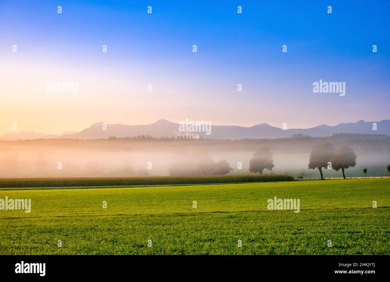 Morning mist near Etting, Germany, Bavaria, Oberbayern, Upper Bavaria Stock Photo