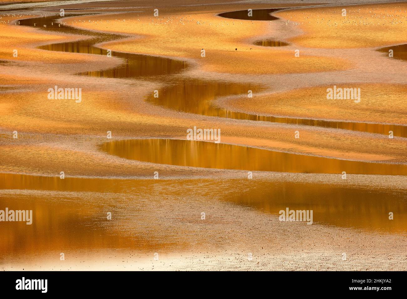 shore in Applecross peninsula at sunset, United Kingdom, Scotland, Applecross Stock Photo