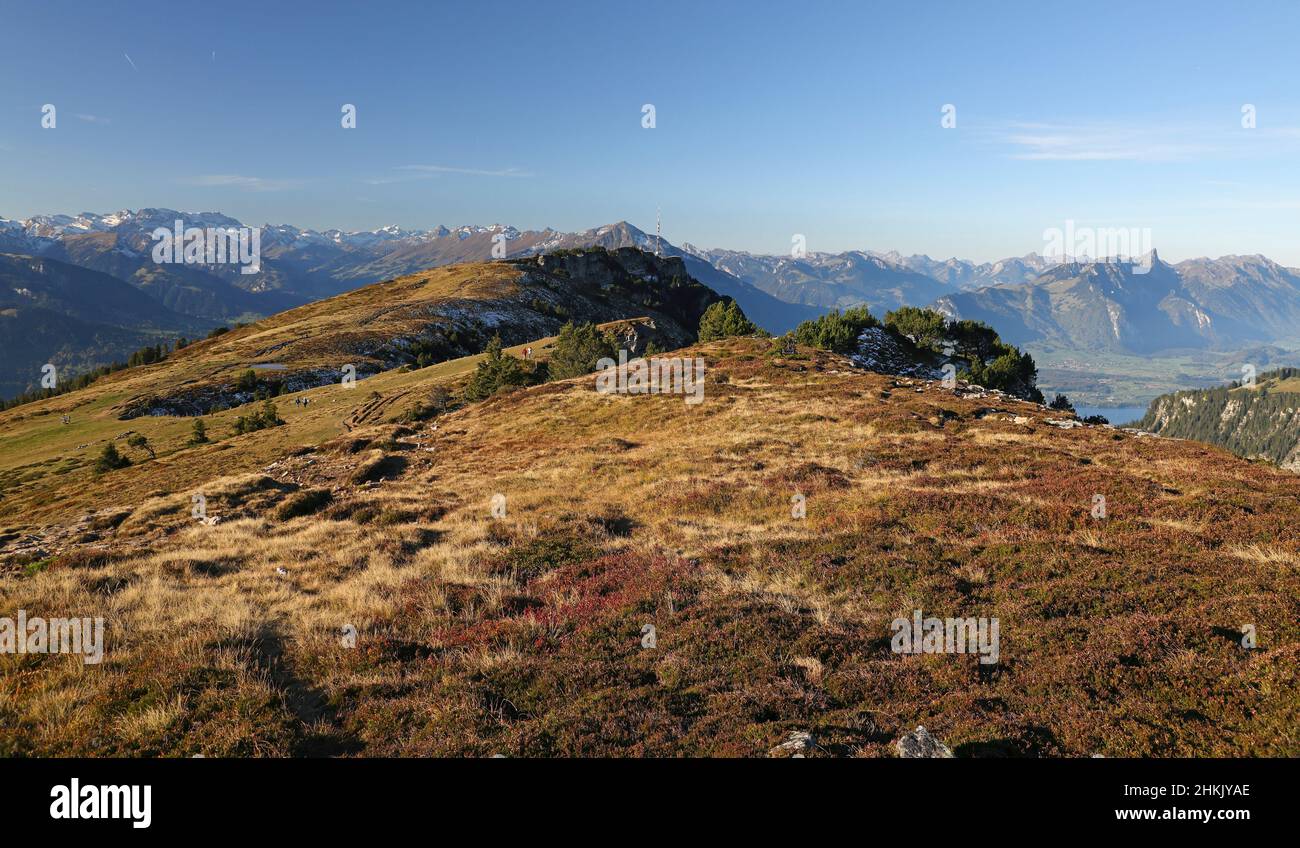 view from the Burgfeldstand to the high plateau on the Niederhorn, Switzerland, Bernese Oberland, Beatenberg Stock Photo