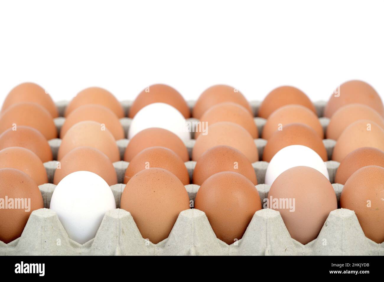 white and brown eggs together on an egg tray Stock Photo