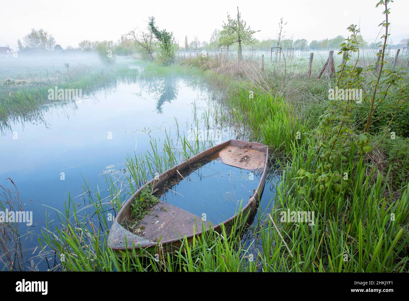 sunken boat at the marshland Vinderhoutse Bossen, Belgium, East Flanders, Vinderhoutse Bossen, Vinderhoute Stock Photo