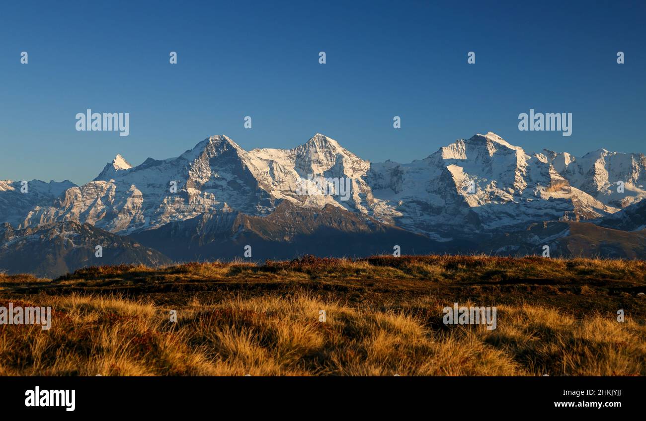 View from the Niederhorn of the Bernese Alps with Eiger, Moench and Jungfrau, Switzerland, Bernese Oberland Stock Photo