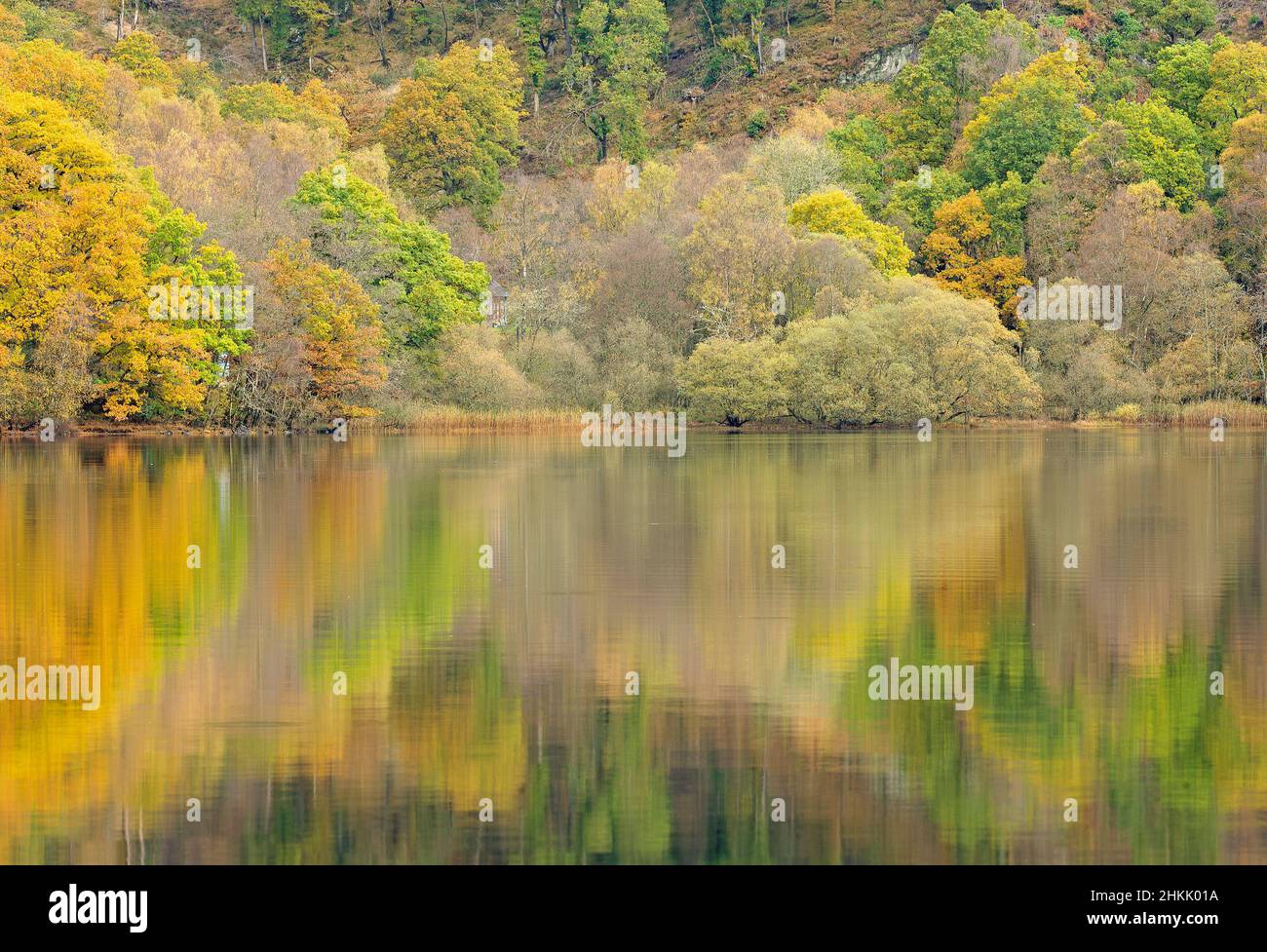 Autumn in Loch Lomond and the Trossachs National Park, United Kingdom, Scotland, Loch Lomond and The Trossachs National Park Stock Photo