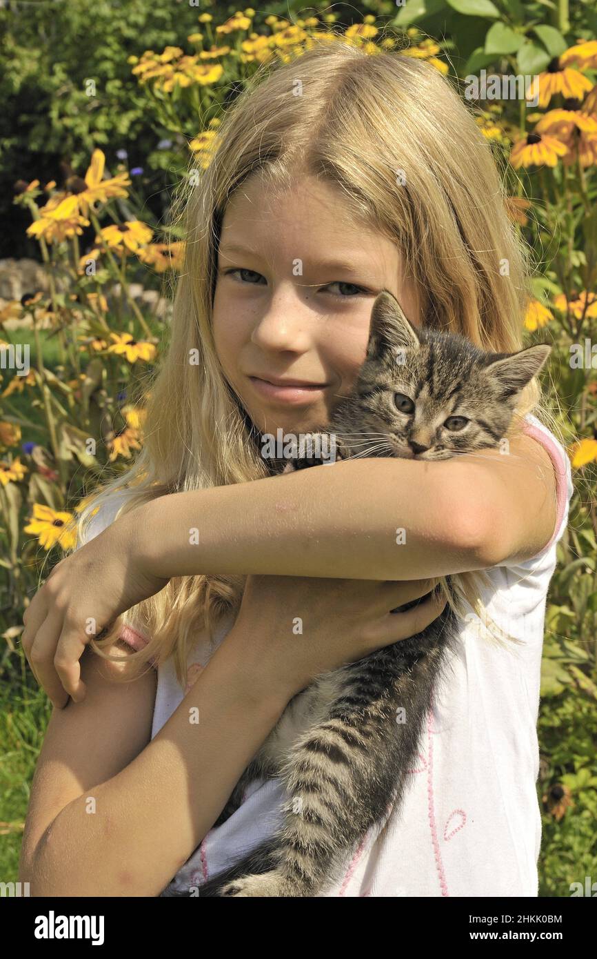 domestic cat, house cat (Felis silvestris f. catus), little blonde girl happily holding a kitten on her arm Stock Photo