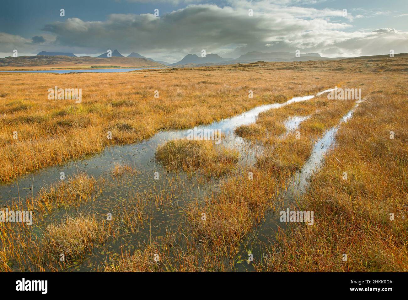 autumn in Forsinard Flows nature area, United Kingdom, Scotland, Highland, Achiemore Stock Photo