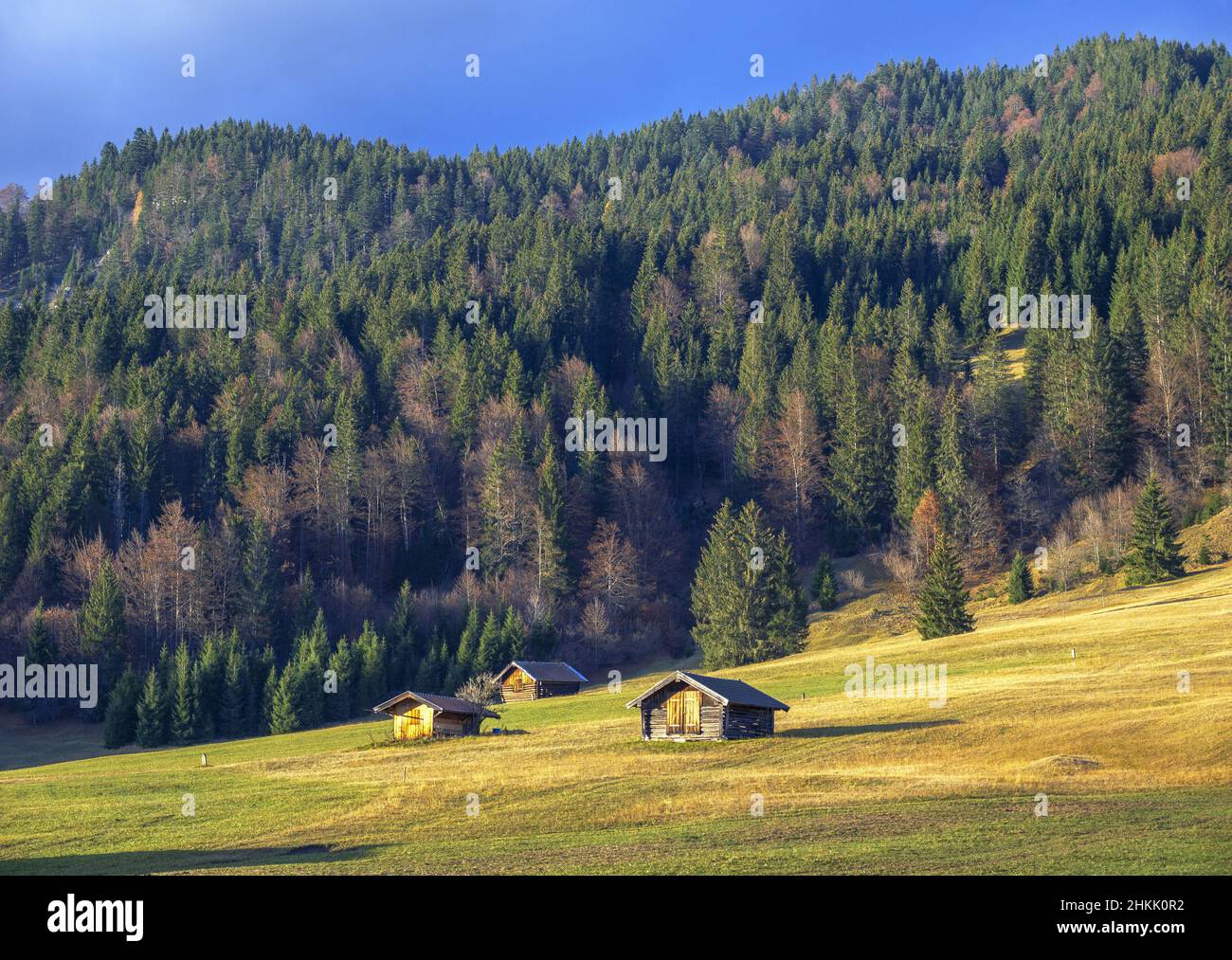 haystacks in a mountain meadow near Kruen in Werdenfelser Land in autumn, Germany, Bavaria Stock Photo