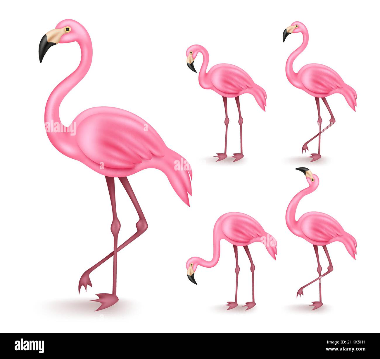Flamingo vector set design. 3d flamingos in standing and walking ...