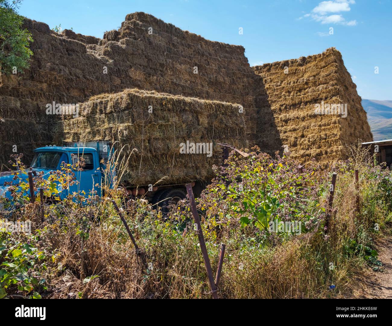 Truck carrying haystack, south Armenia Stock Photo