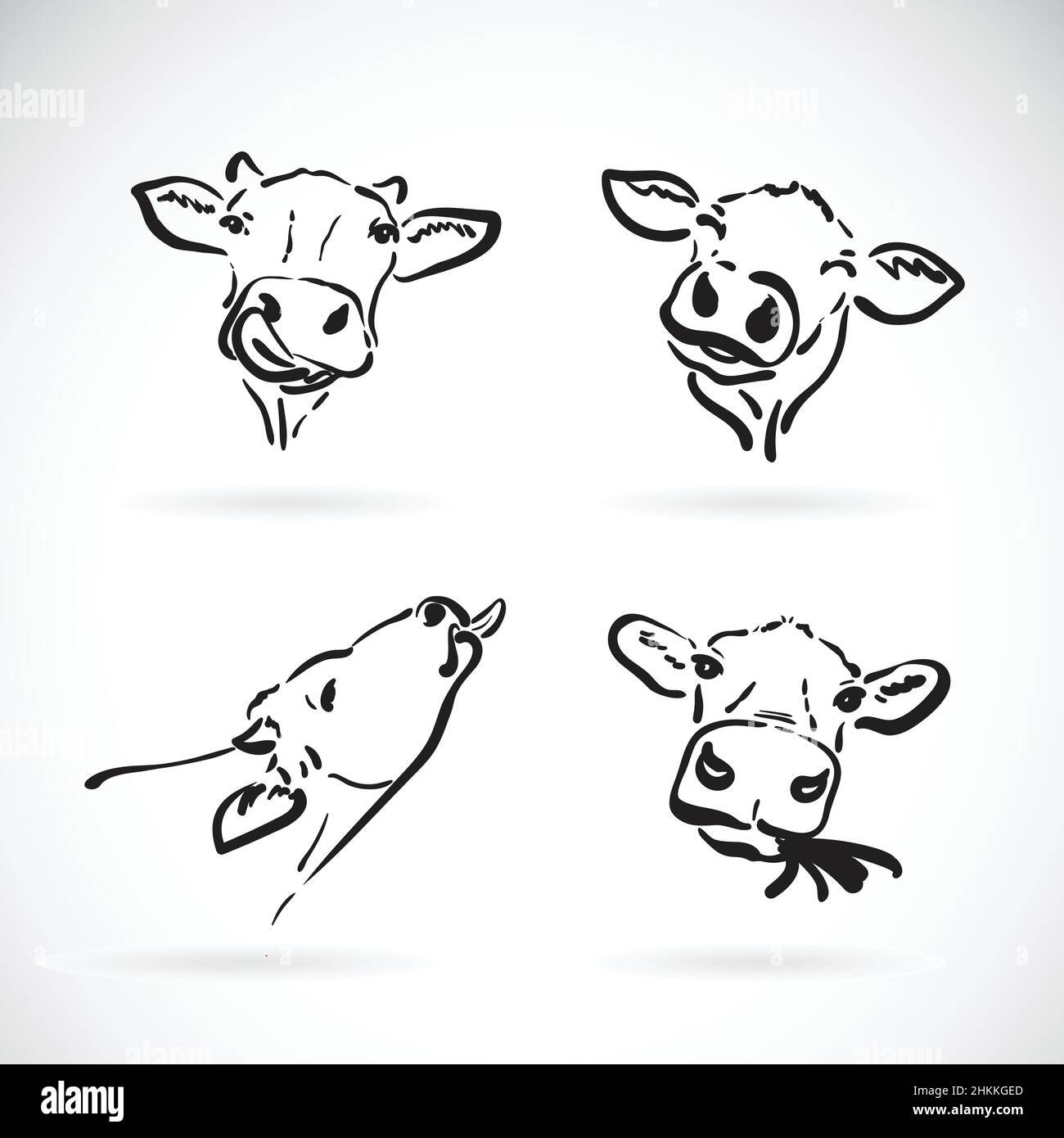 Cows And Calf Stock Illustration - Download Image Now - Cow, Vector, Sketch  - iStock