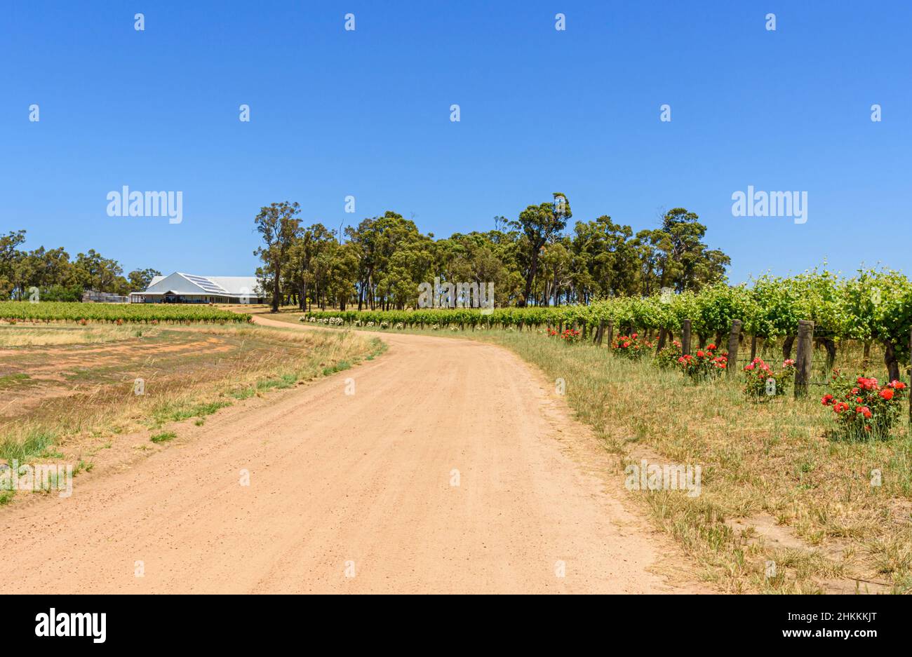 Gravel road entrance past rows of grapevines to Frankland Estate Winery