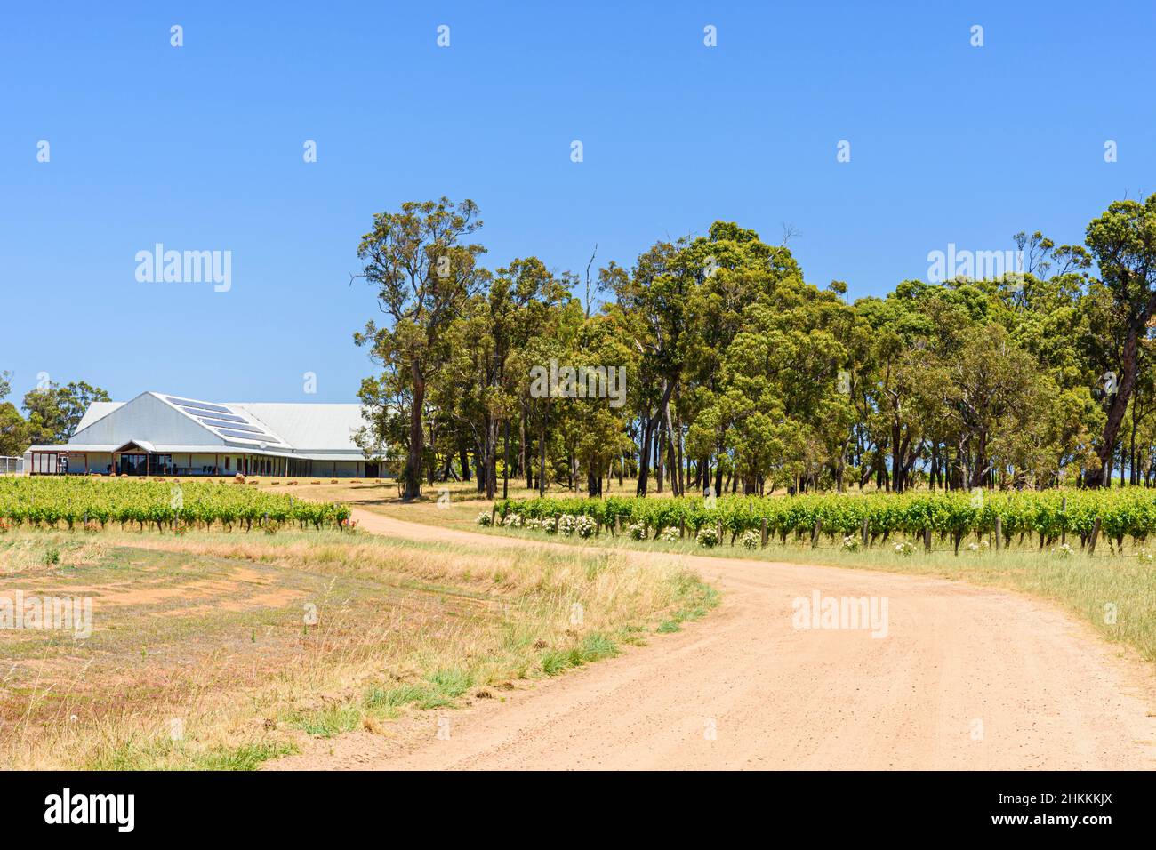Gravel road entrance past rows of grapevines to Frankland Estate Winery