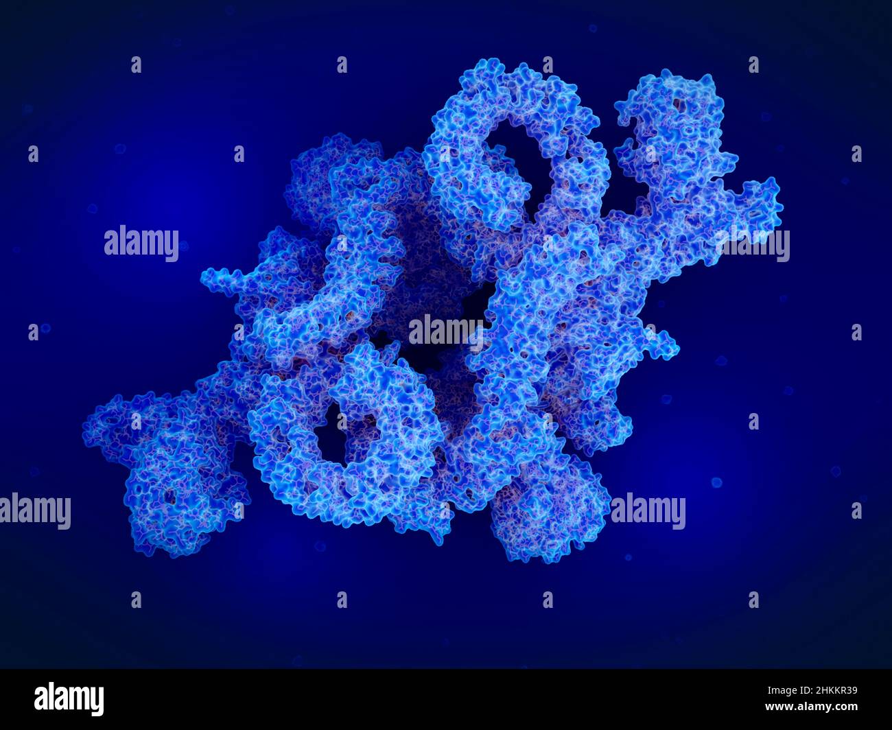 mTORC1 protein complex, illustration Stock Photo
