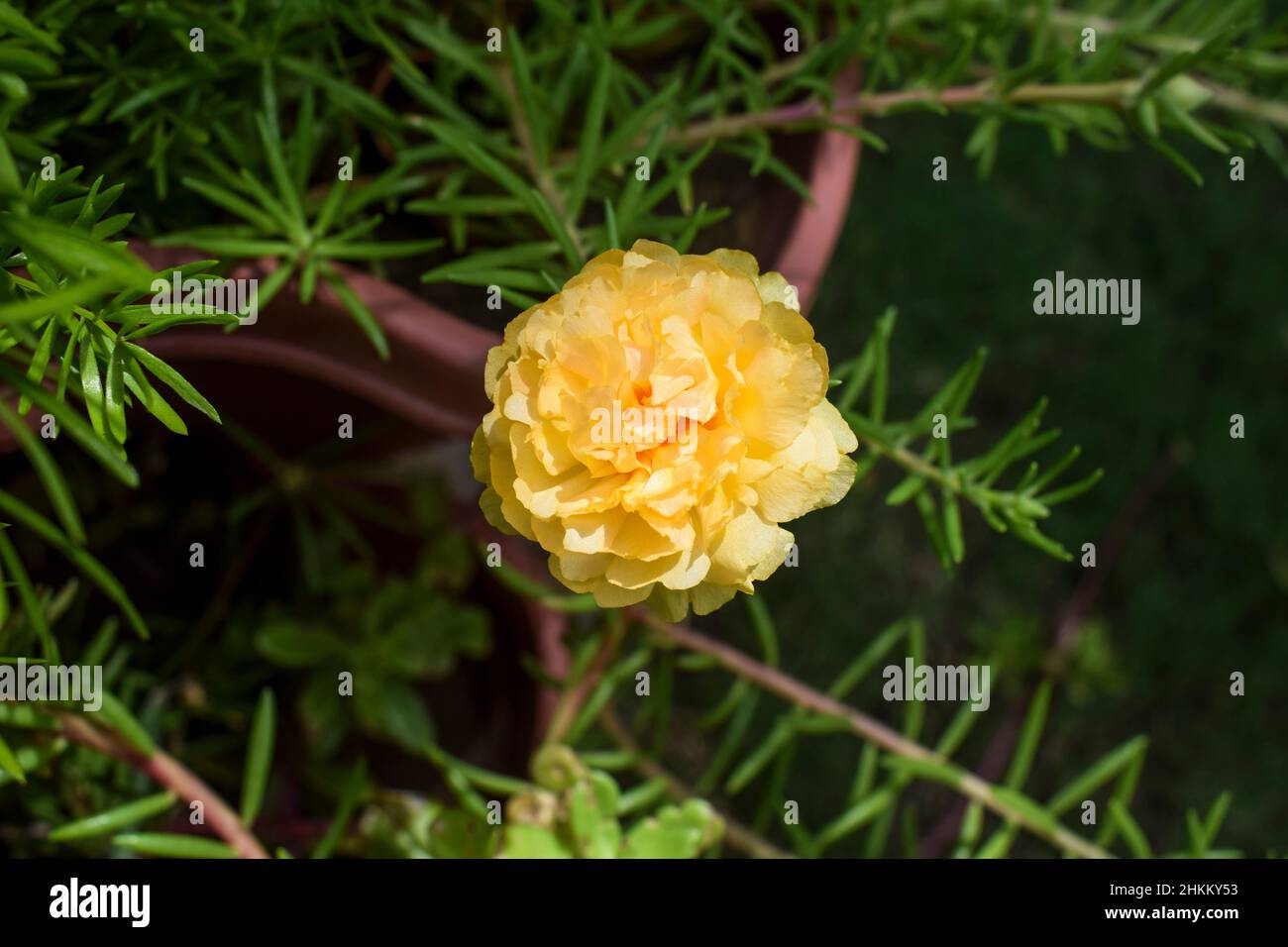 11 O Clock High Resolution Stock Photography And Images Alamy