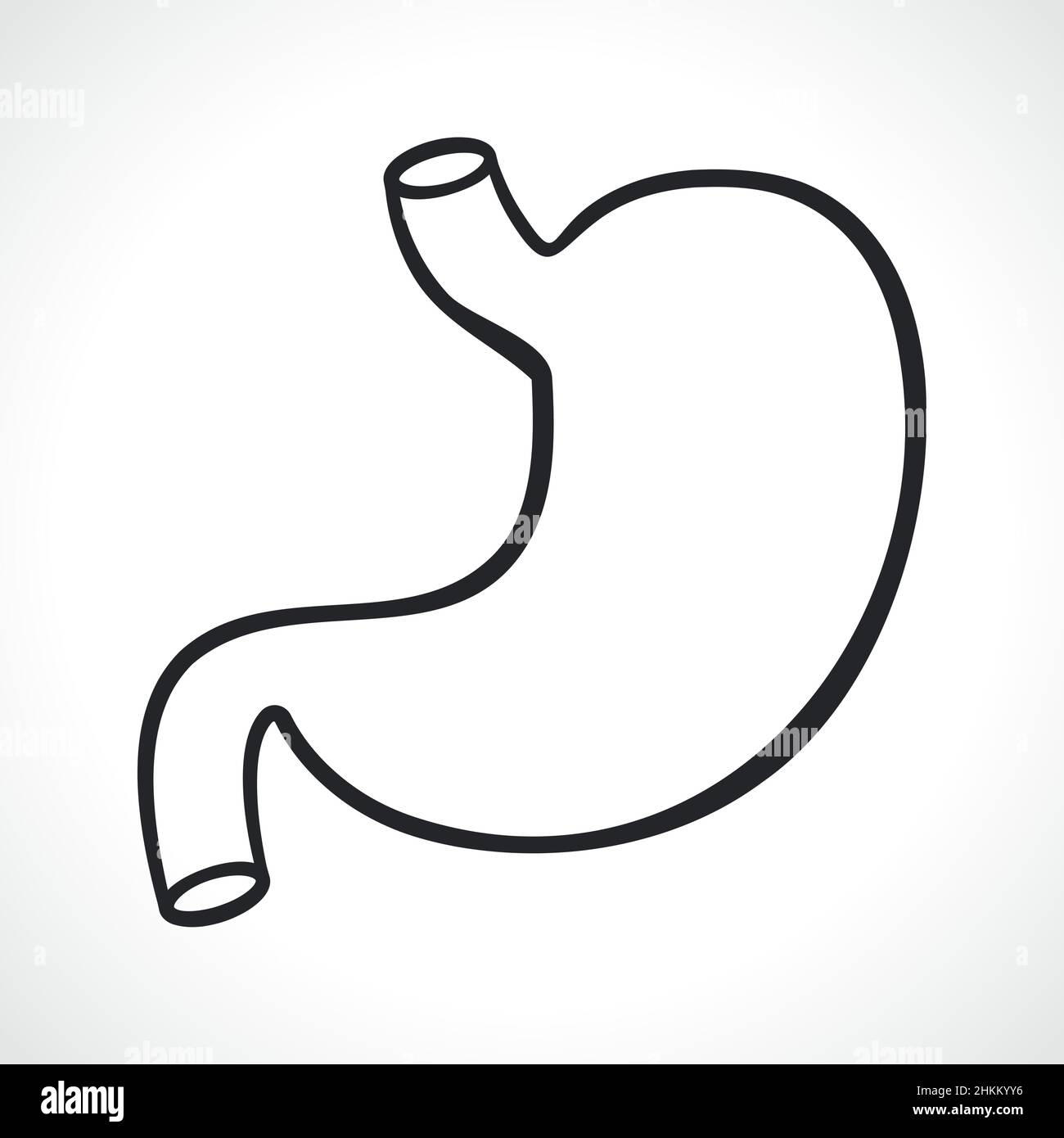 Stomach illustration acid Stock Vector Images - Alamy