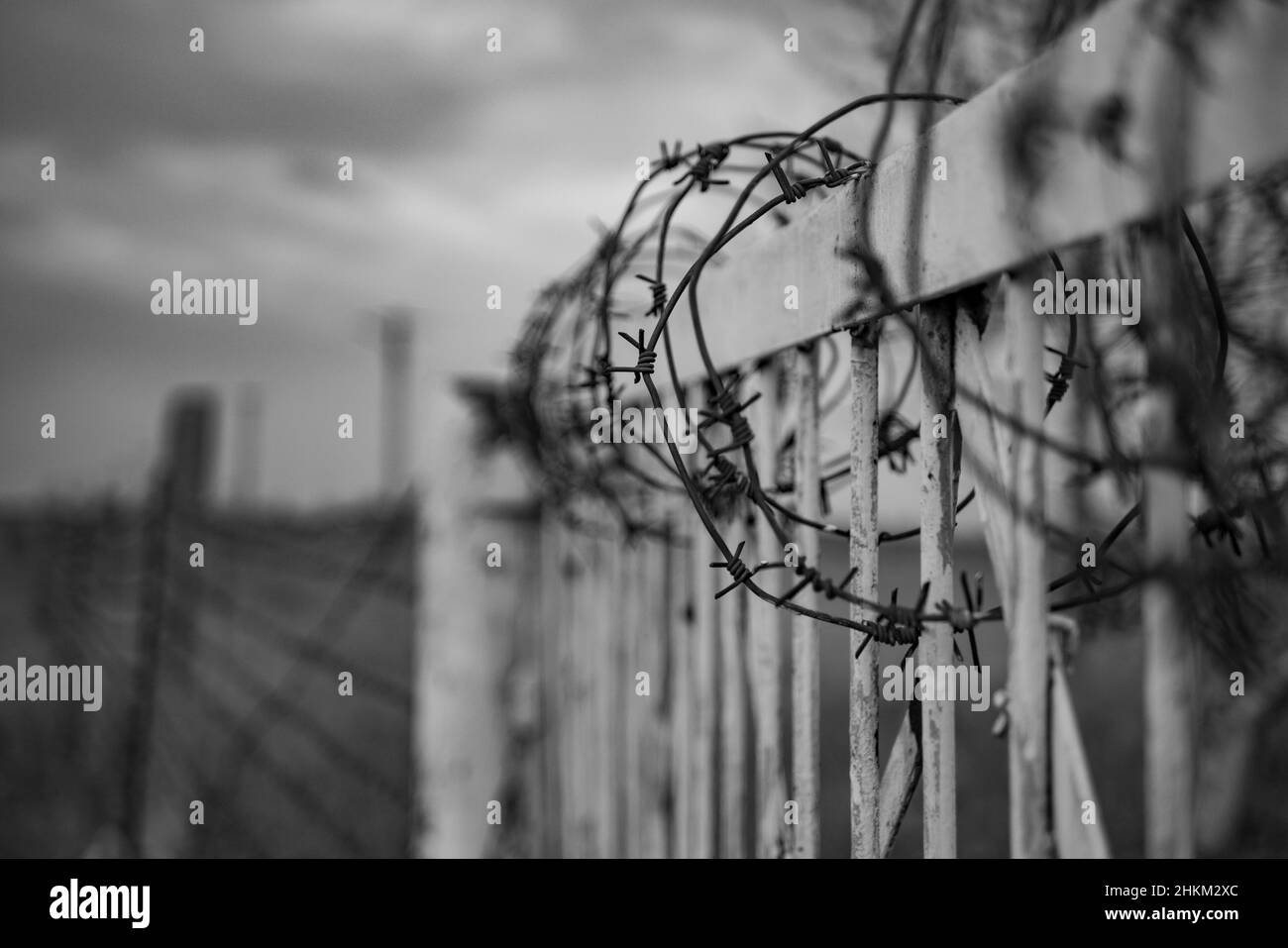 Barbed wire background protection Black and White Stock Photos & Images ...