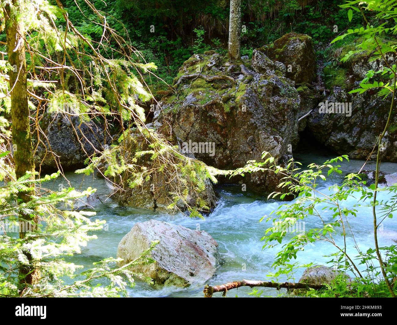 River flowing through a rocky forest Stock Photo - Alamy