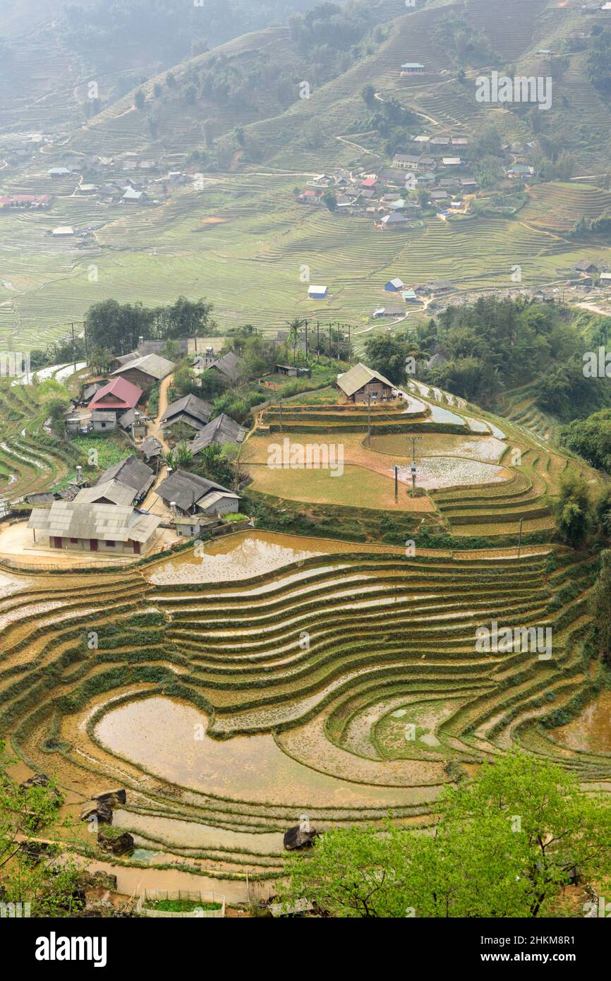 Rice paddy terraces and farm buildings in Muong Hoa Valley (Thung Lung Muong Hoa), Sapa (Sa Pa), Lao Cai Province, Vietnam Stock Photo