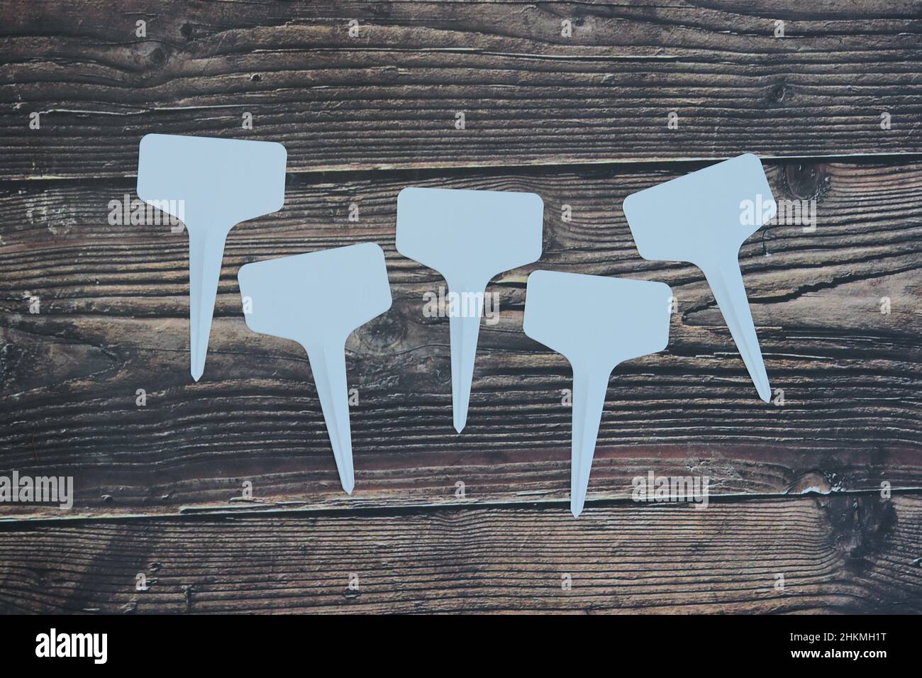 5 white name tags for tree names placed on old wood Stock Photo - Alamy