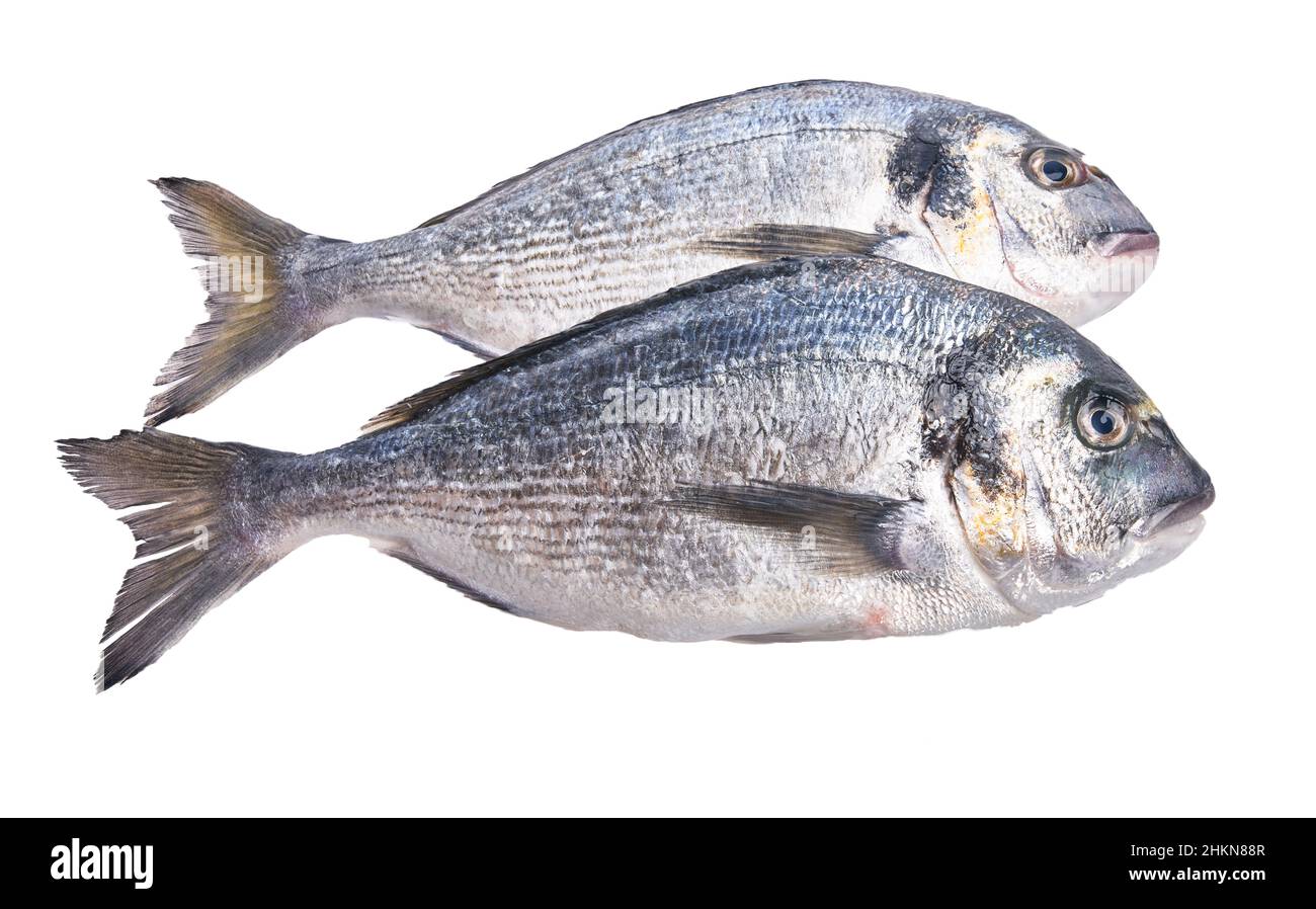 Two Fishies 2 fishes Cut Out Stock Images & Pictures - Alamy