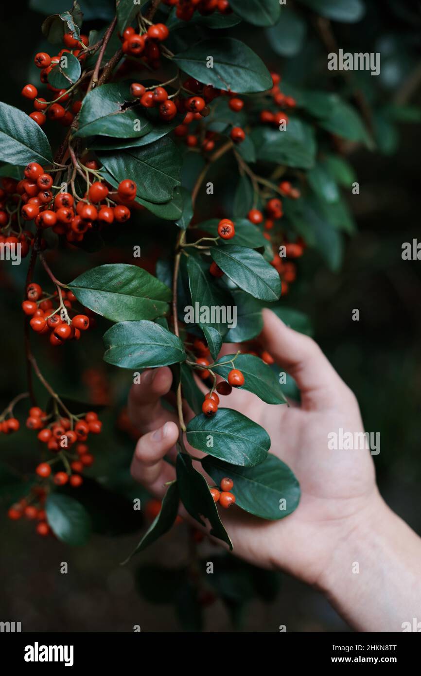 Nature has much beauty to offer Stock Photo Alamy