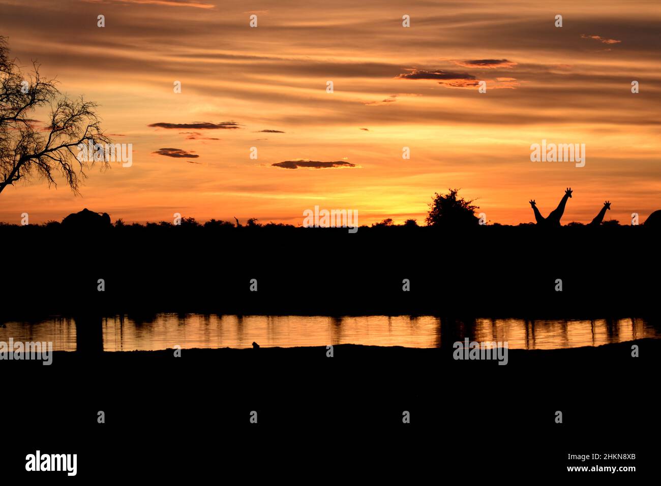 Sunset at Nxai Pan, Botswana Stock Photo