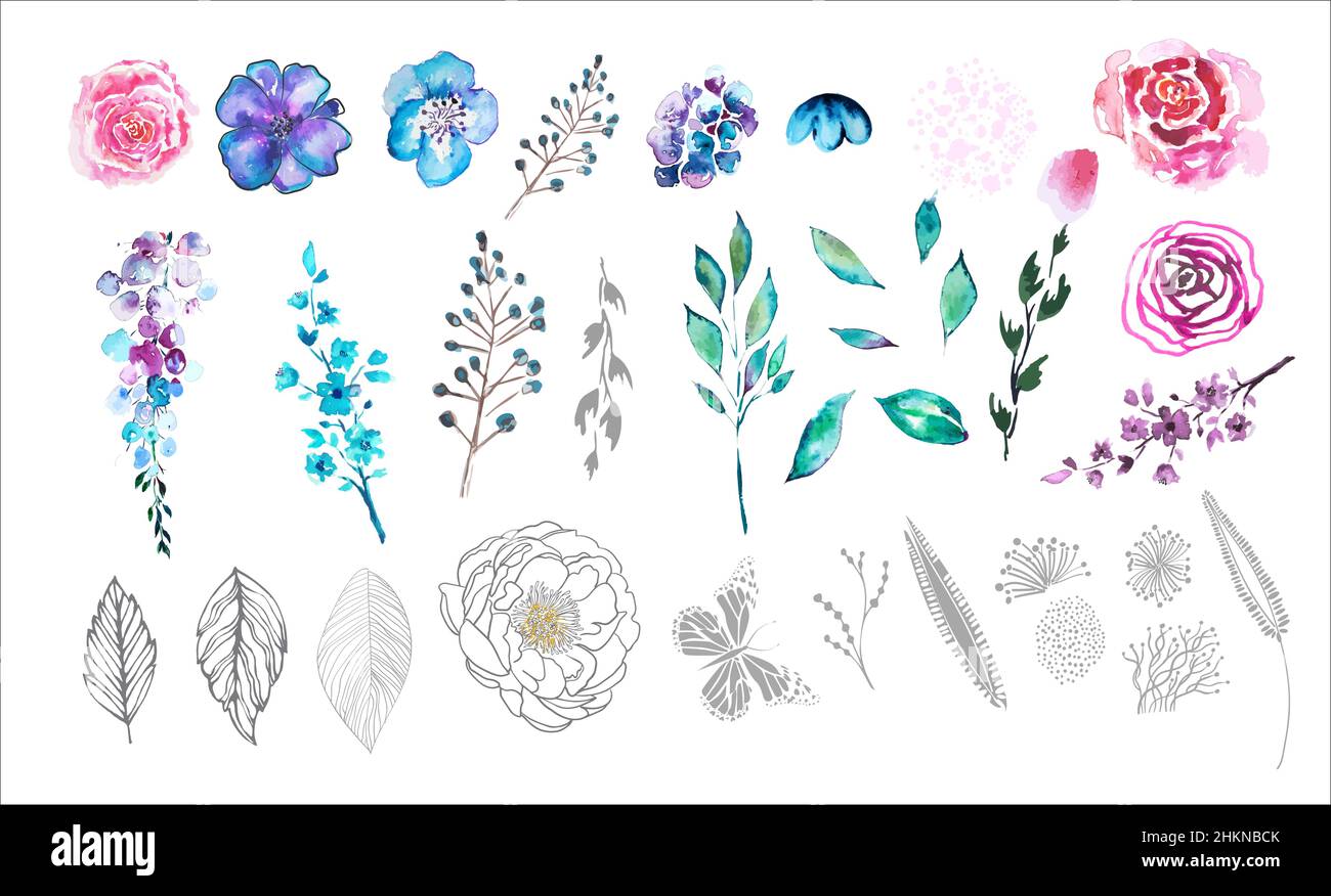 A set of watercolor flower and floral elements. Vector illustration ...