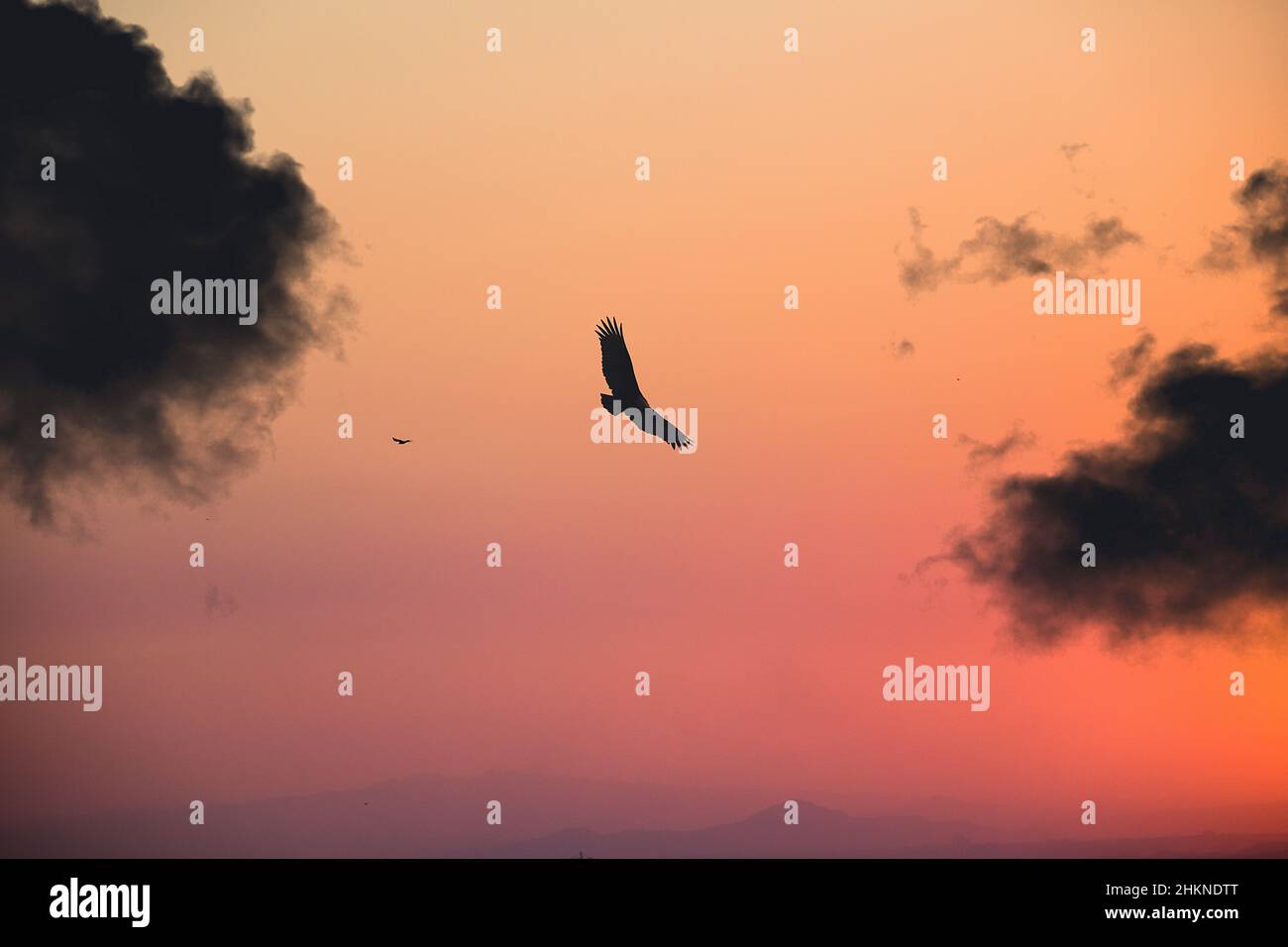 Alone in the sky Stock Photo