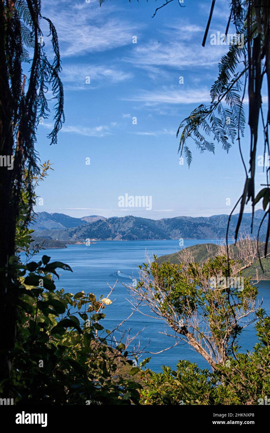 View from Motuara Island over the fjords landscape of the Marlborough Sounds of the South Island in New Zealand Stock Photo