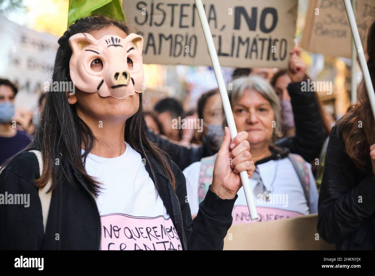 Buenos Aires, Argentina; Sept 24, 2021: Global Climate Strike, woman wearing a pig mask protests against the agreement to set up Chinese swine farms i Stock Photo