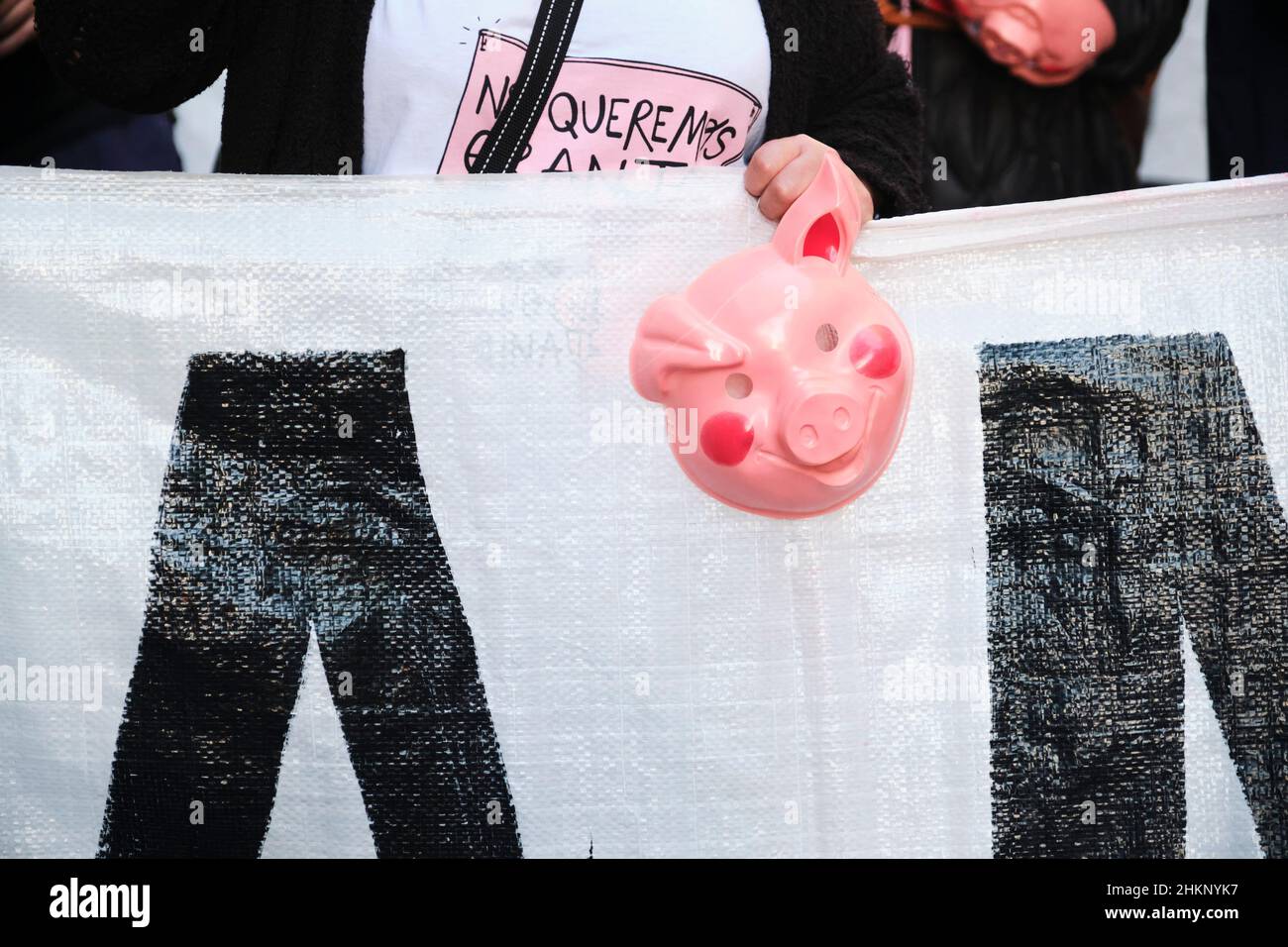 Buenos Aires, Argentina; Sept 24, 2021: Global Climate Strike, pig mask, unrecognizable people protesting against the agreement to set up Chinese swin Stock Photo