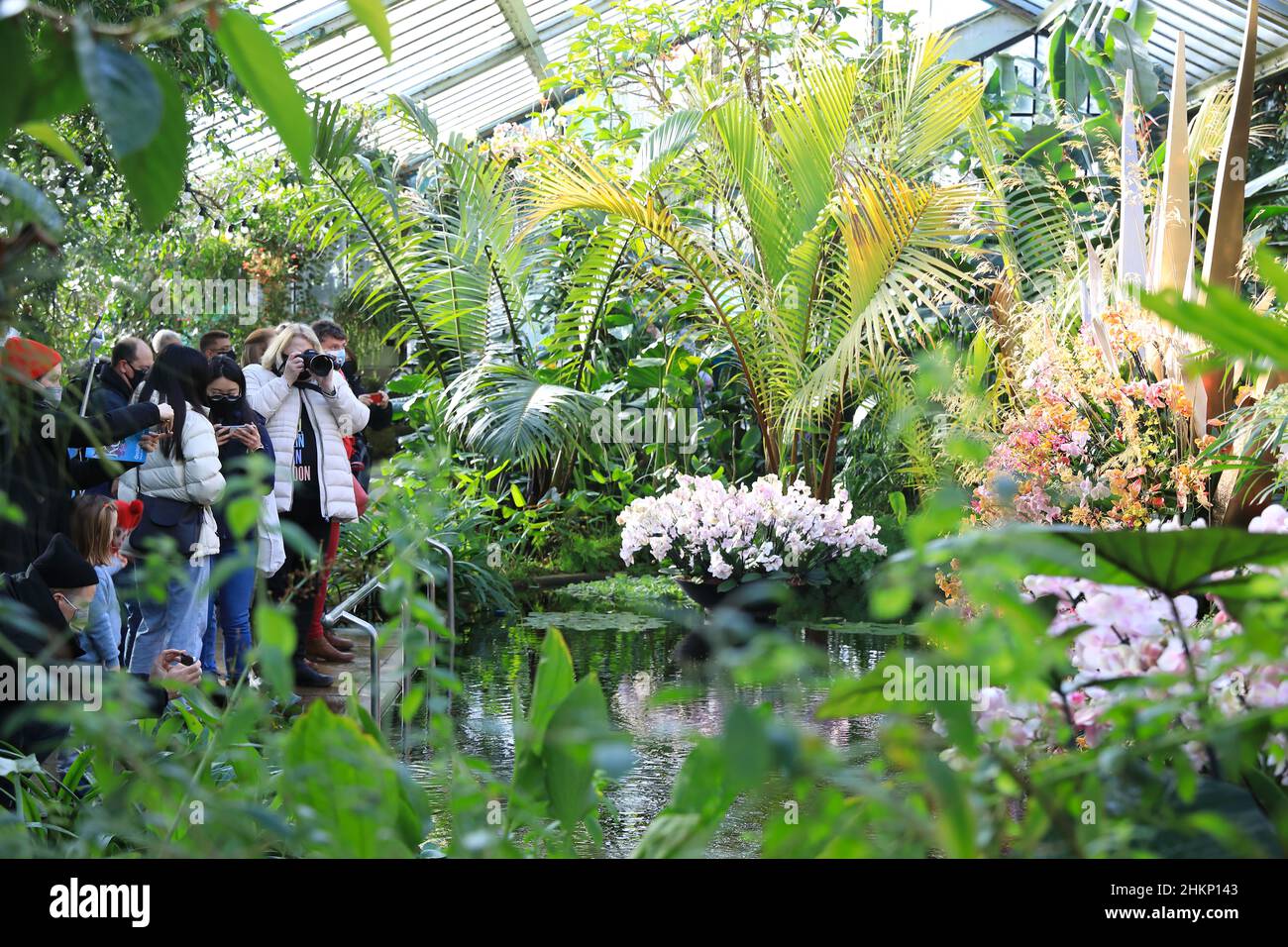London, UK, February 5th 2022. Visitors enjoyed the first day of the annual Kew Gardens Orchid Festival, celebrating the diversity of Costa Rica, with colourful flower displays, art installations and dancing, all taking part in and around the Princess of Wales Conservatory. Credit : Monica Wells/Alamy Live News Stock Photo