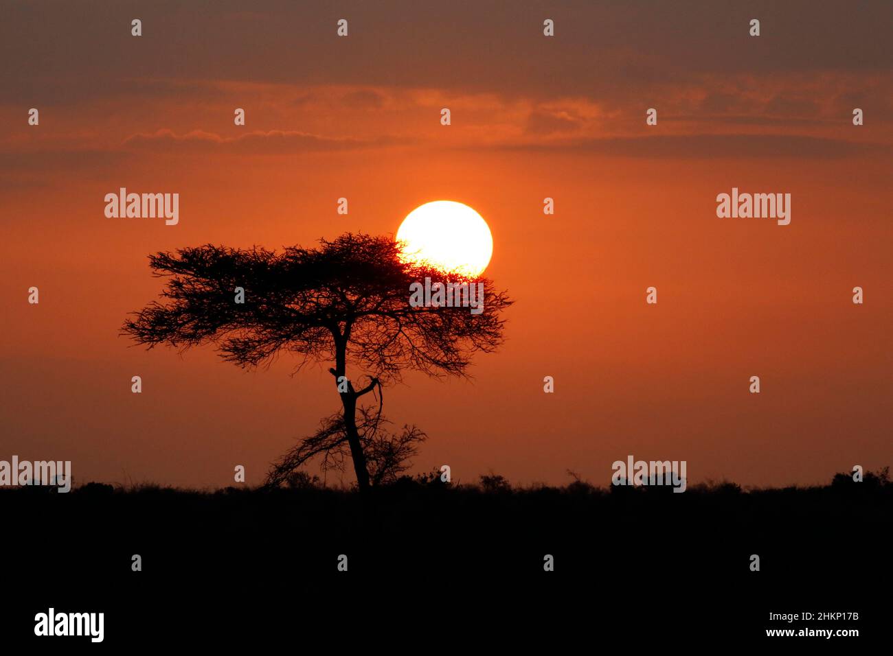 Early Morning Sun Rising over Tsavo East, Kenya Stock Photo