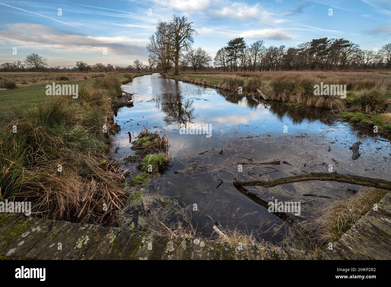 Stream leading to pond full of wildlife Stock Photo