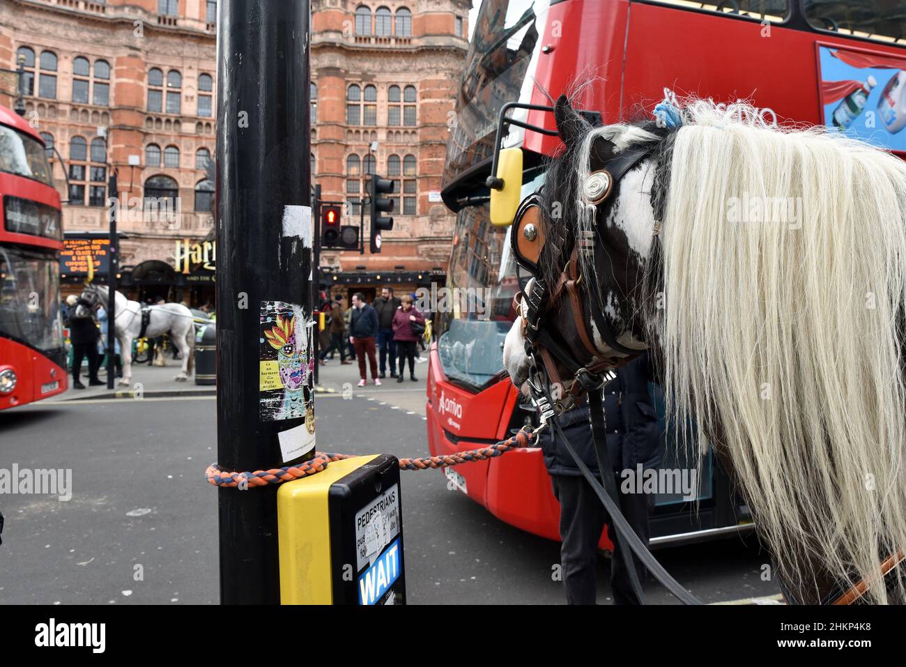 Romani gypsies uk hi-res stock photography and images - Alamy