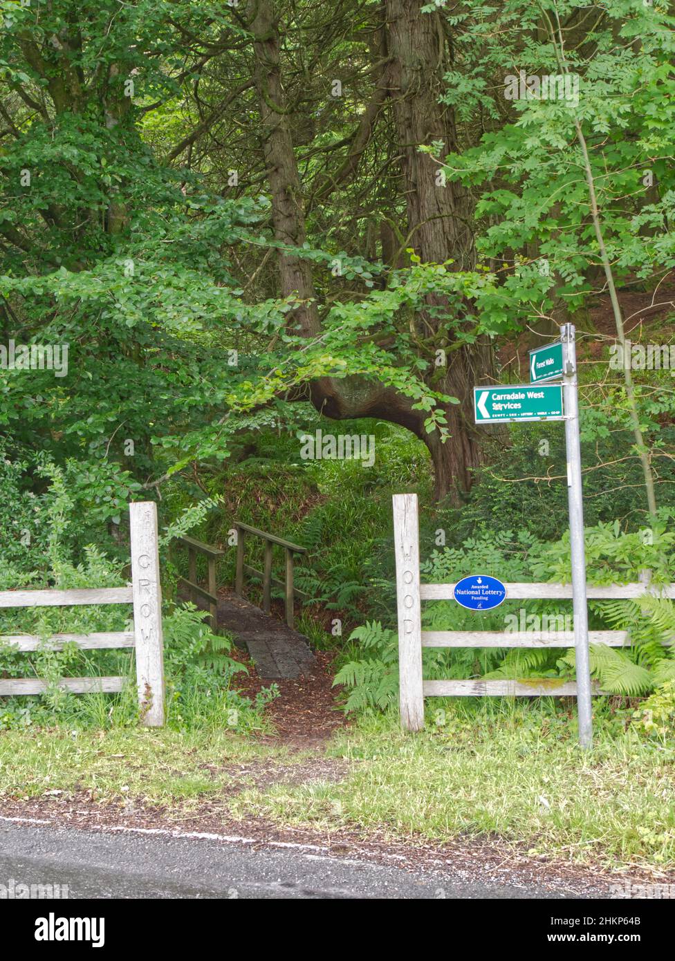 entrance to forest walk through Crow Wood,Carradale, Kintyre Peninsula