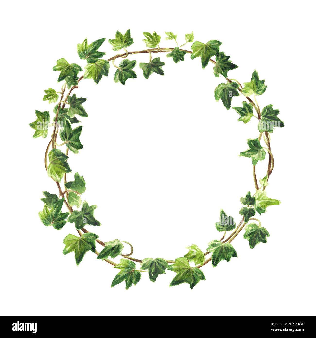 Ivy branch with leaves frame, wreath . Hand drawn watercolor ...