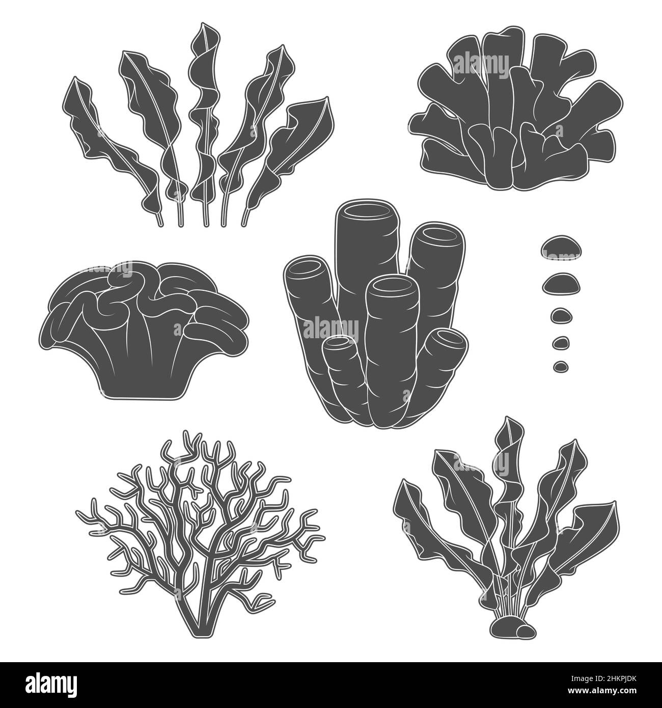 Set of black and white illustrations with corals and algae. Isolated vector objects on a white background. Stock Vector