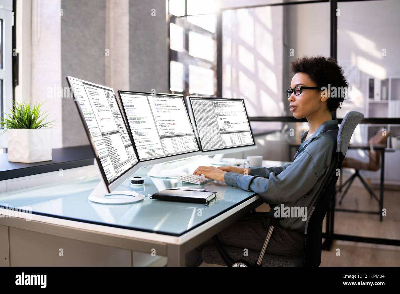 Female Computer Programmer
