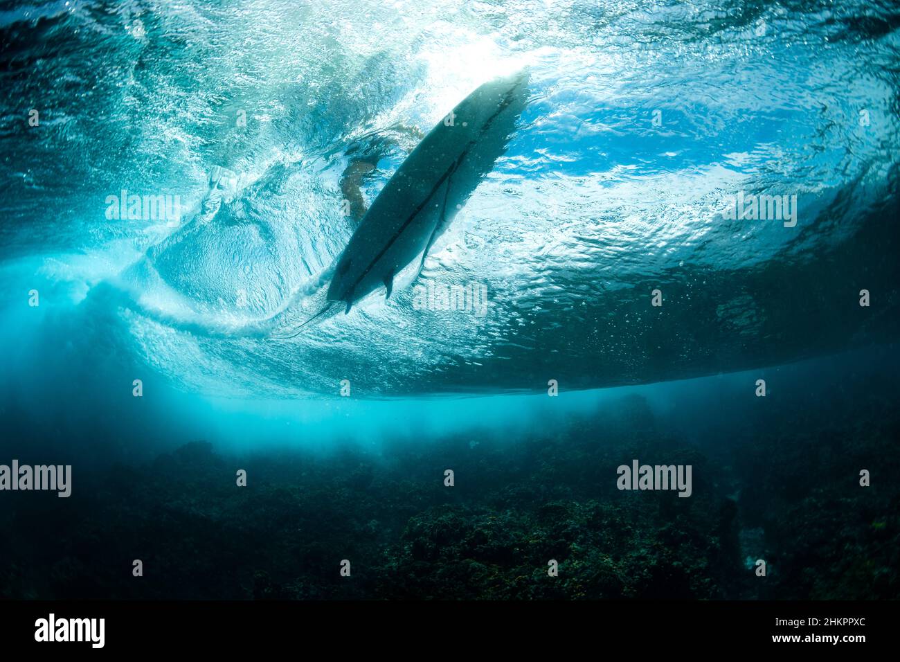 Underwater view of surfer in clear wave Stock Photo