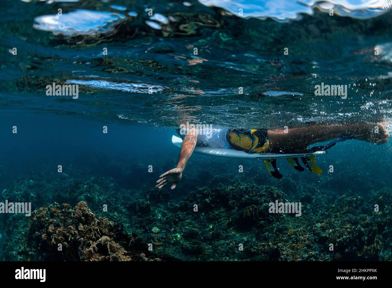 Underwater view of surfer on surfboard in clear sea Stock Photo