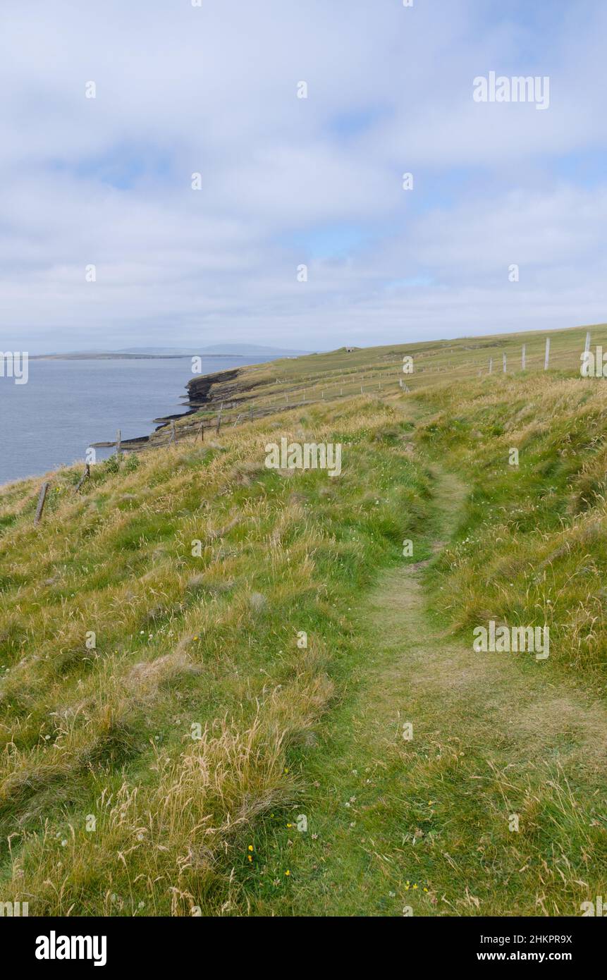 A walk along the cliffs at Hoxa Head, Orkney. Stock Photo