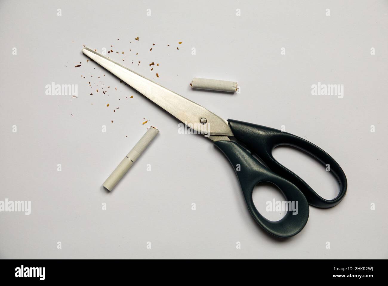 Cigarette in scissors. Bad habit. Stock Photo
