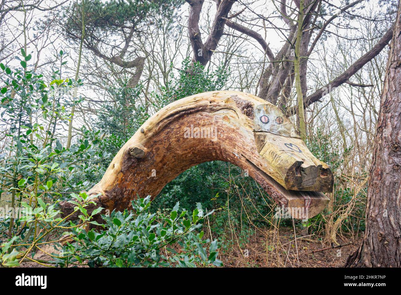 Trunk of a tree in park, carved into the head of a crocodile Stock Photo