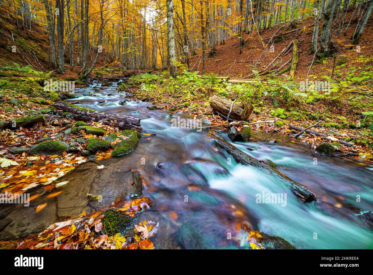 Beautiful Waterfall Shipot in the autumn forest of the Carpathian Mountains Stock Photo