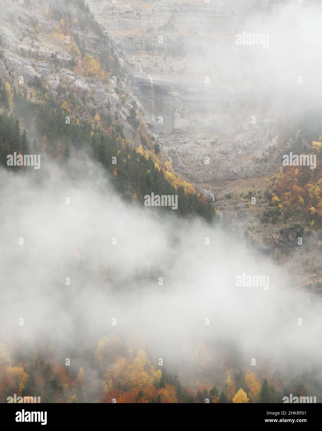 Valle de pineta autumn hi-res stock photography and images - Alamy