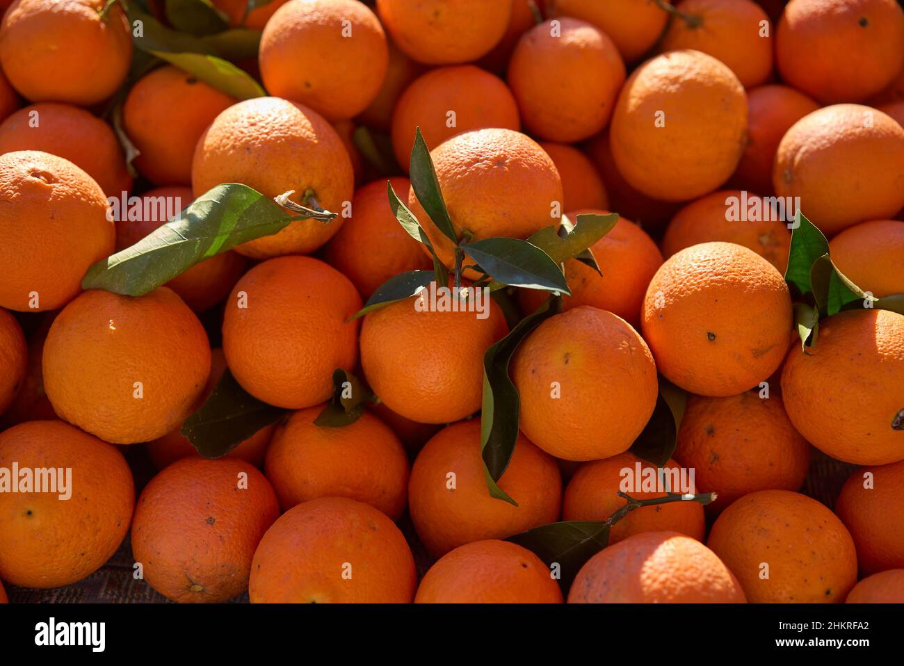 Full Frame Shot Of Oranges. Oranges For Sale At Market Stall Stock