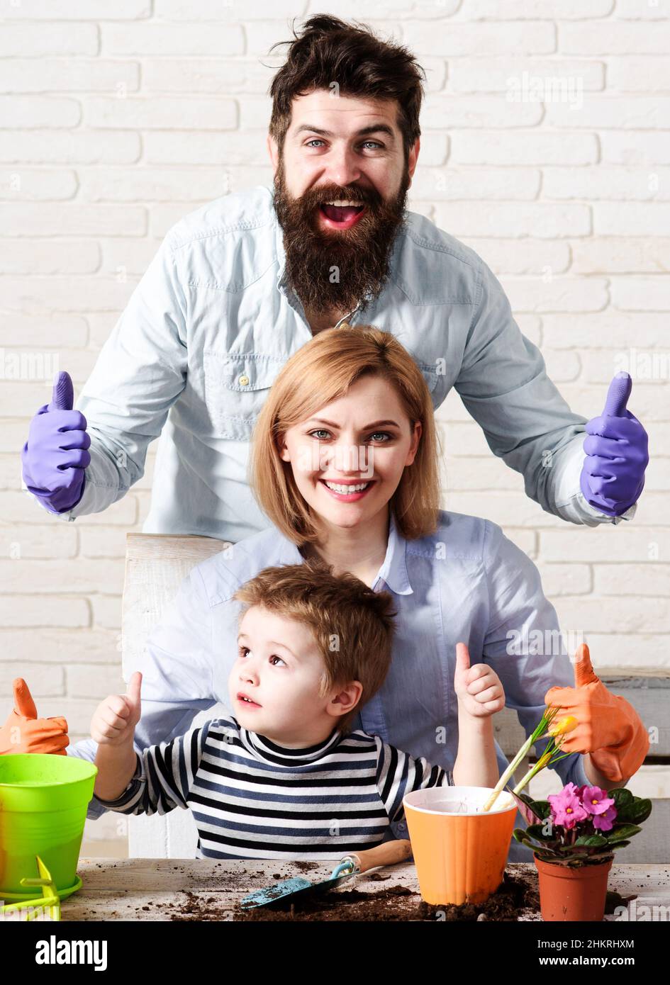 Little son with mother and father shows thumbs up. Family planting flowers. Gardening at home. Stock Photo
