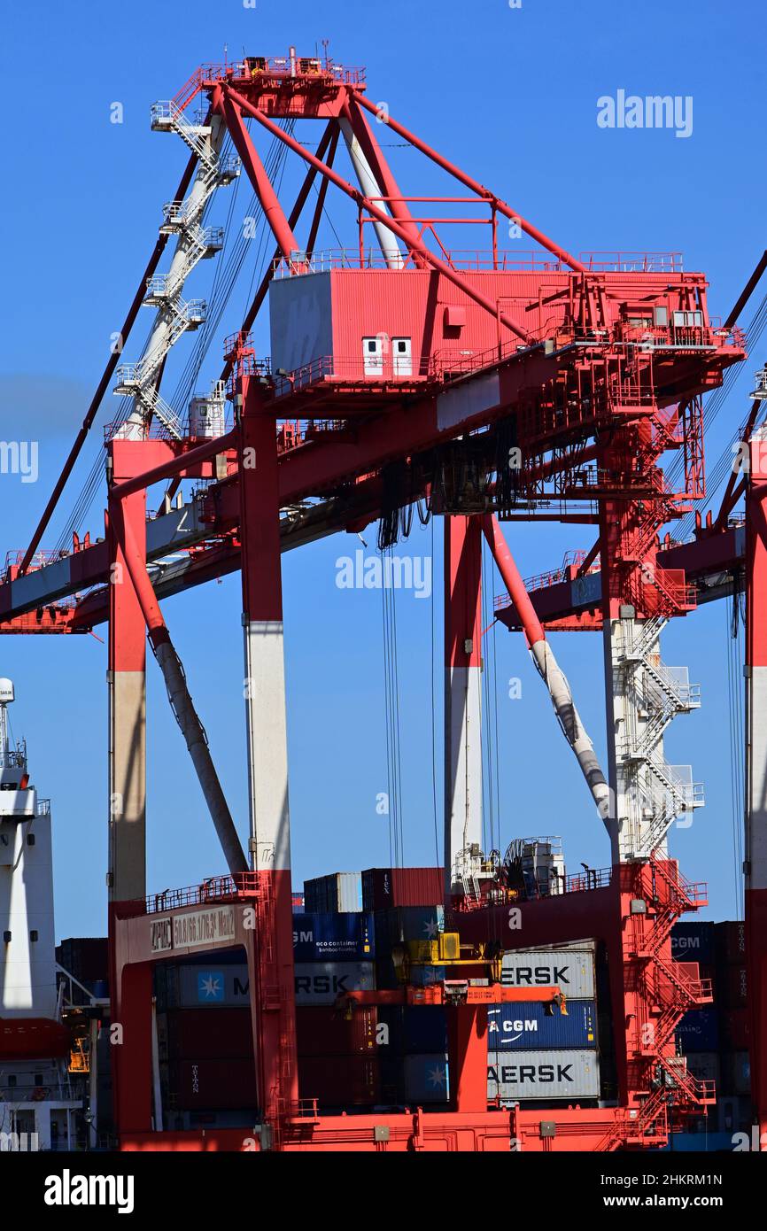 Heavy equipment to handle container and other cargo ships in the port