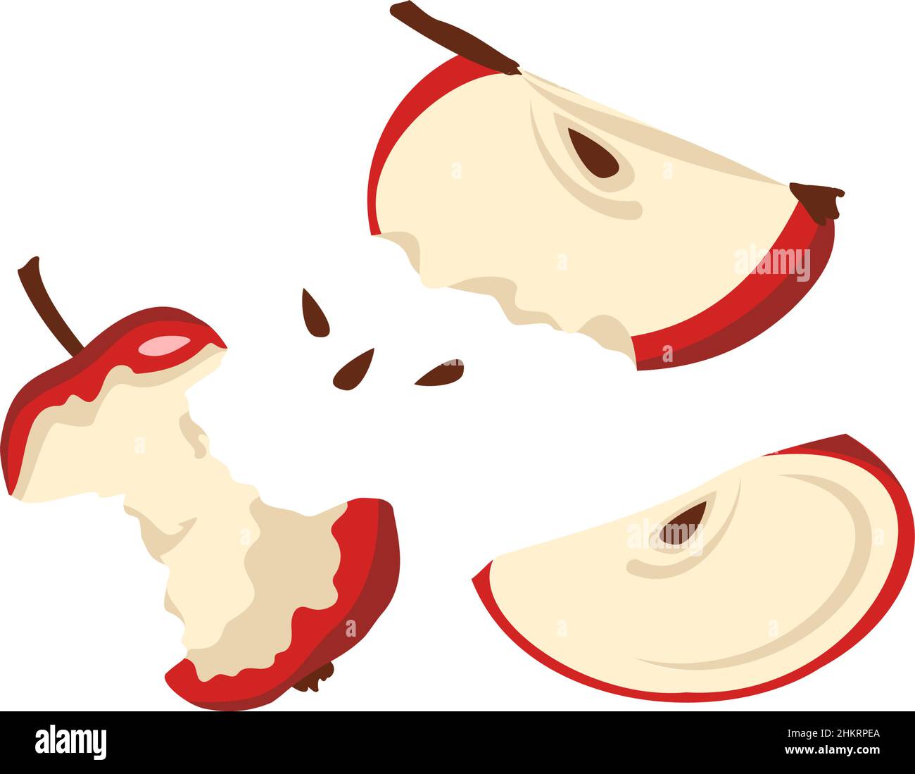 Red apple slices with seeds and stub. Sliced food for healthy diet. Sweet snack. Vector flat illustration Stock Vector